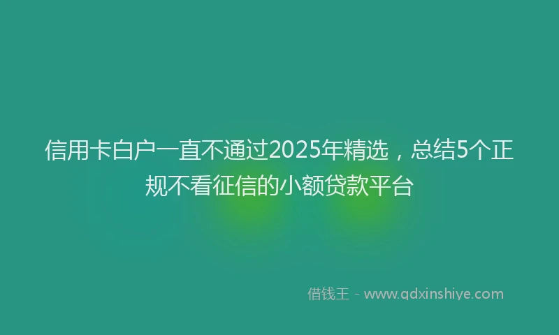 信用卡白户一直不通过2025年精选，总结5个正规不看征信的小额贷款平台