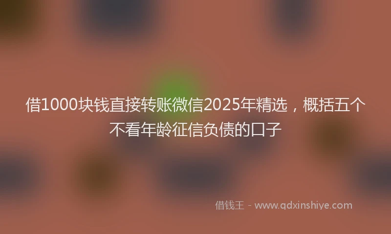 借1000块钱直接转账微信2025年精选，概括五个不看年龄征信负债的口子