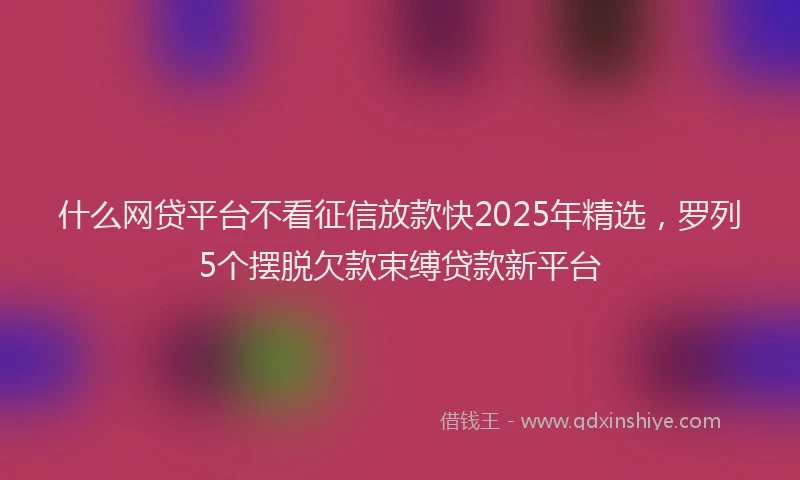 什么网贷平台不看征信放款快2025年精选，罗列5个摆脱欠款束缚贷款新平台