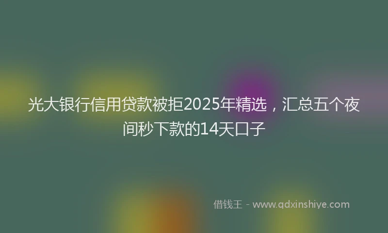 光大银行信用贷款被拒2025年精选，汇总五个夜间秒下款的14天口子