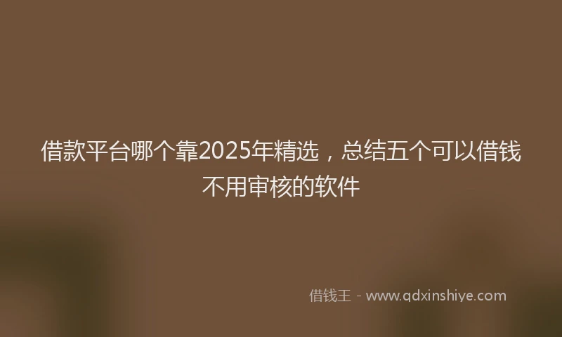 借款平台哪个靠2025年精选，总结五个可以借钱不用审核的软件