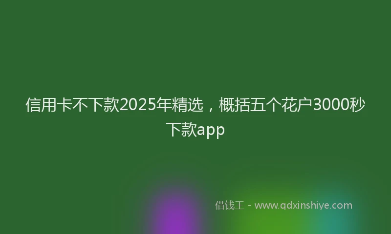 信用卡不下款2025年精选，概括五个花户3000秒下款app