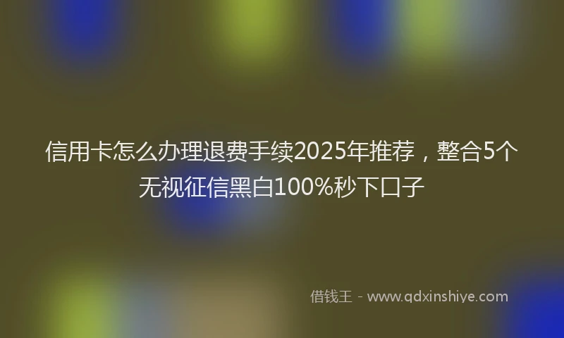 信用卡怎么办理退费手续2025年推荐，整合5个无视征信黑白100%秒下口子