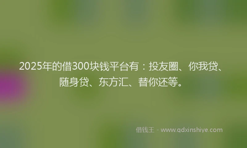 2025年的借300块钱平台有：投友圈、你我贷、随身贷、东方汇、替你还等。