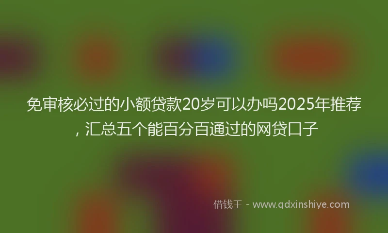 免审核必过的小额贷款20岁可以办吗2025年推荐，汇总五个能百分百通过的网贷口子