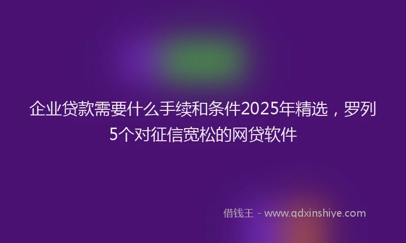 企业贷款需要什么手续和条件2025年精选，罗列5个对征信宽松的网贷软件