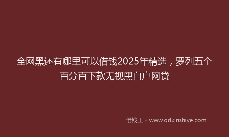 全网黑还有哪里可以借钱2025年精选，罗列五个百分百下款无视黑白户网贷