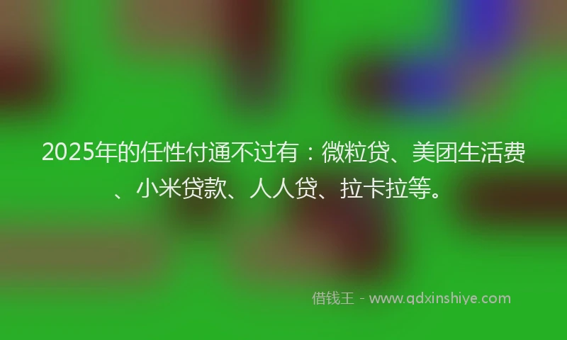 2025年的任性付通不过有：微粒贷、美团生活费、小米贷款、人人贷、拉卡拉等。