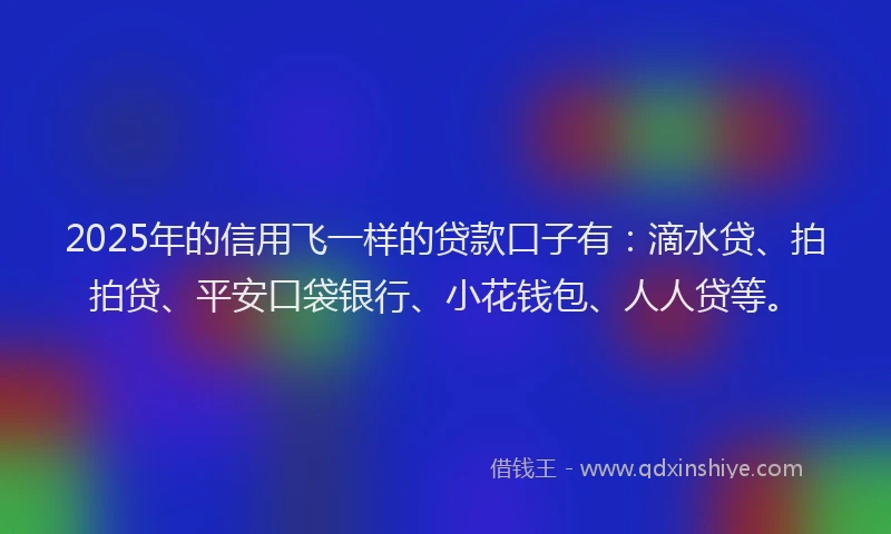 2025年的信用飞一样的贷款口子有：滴水贷、拍拍贷、平安口袋银行、小花钱包、人人贷等。