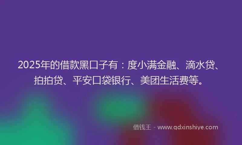 2025年的借款黑口子有：度小满金融、滴水贷、拍拍贷、平安口袋银行、美团生活费等。