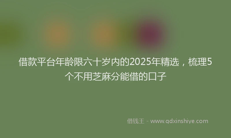 借款平台年龄限六十岁内的2025年精选，梳理5个不用芝麻分能借的口子