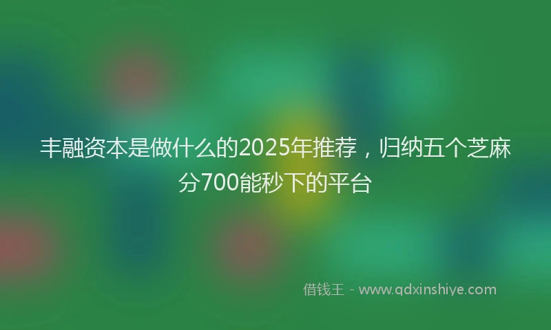 丰融资本是做什么的2025年推荐，归纳五个芝麻分700能秒下的平台