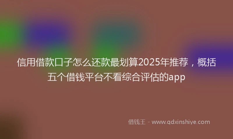 信用借款口子怎么还款最划算2025年推荐，概括五个借钱平台不看综合评估的app