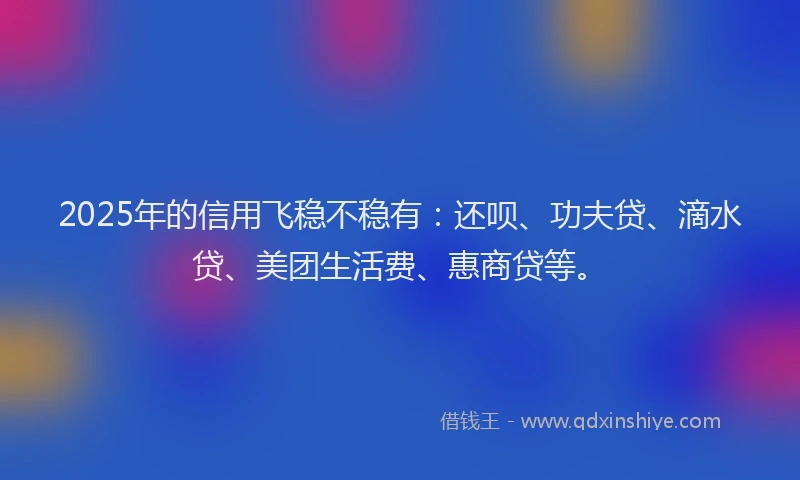 2025年的信用飞稳不稳有：还呗、功夫贷、滴水贷、美团生活费、惠商贷等。