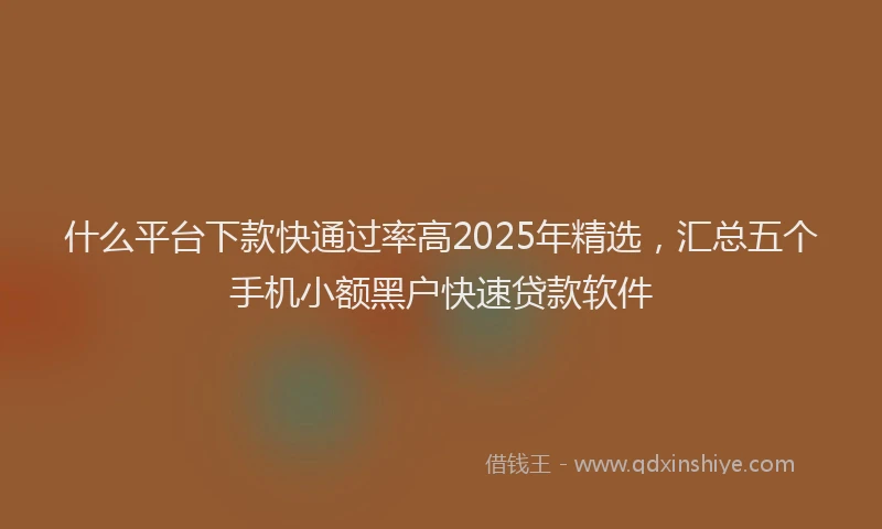 什么平台下款快通过率高2025年精选，汇总五个手机小额黑户快速贷款软件