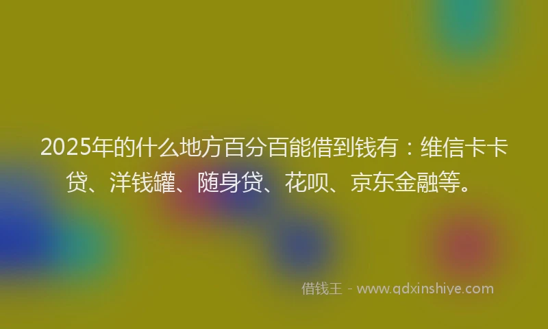 2025年的什么地方百分百能借到钱有：维信卡卡贷、洋钱罐、随身贷、花呗、京东金融等。