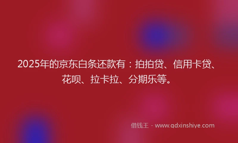 2025年的京东白条还款有：拍拍贷、信用卡贷、花呗、拉卡拉、分期乐等。