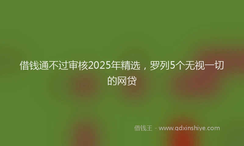 借钱通不过审核2025年精选，罗列5个无视一切的网贷