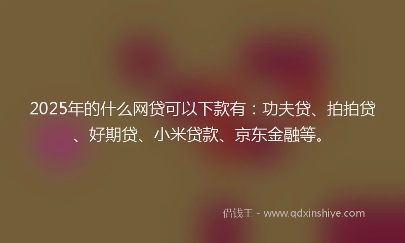 2025年的什么网贷可以下款有：功夫贷、拍拍贷、好期贷、小米贷款、京东金融等。