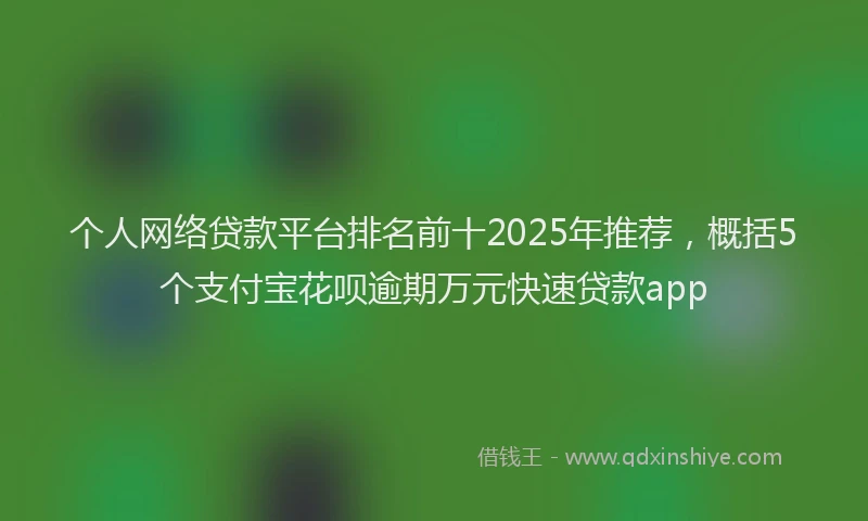 个人网络贷款平台排名前十2025年推荐，概括5个支付宝花呗逾期万元快速贷款app
