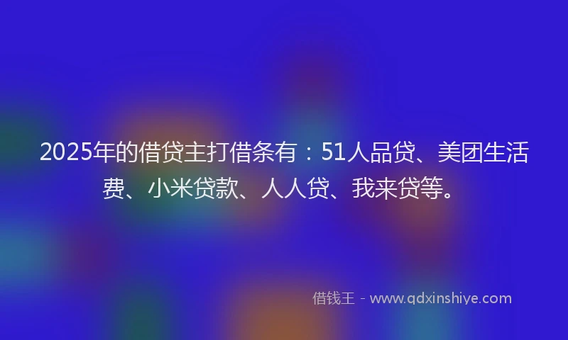 2025年的借贷主打借条有：51人品贷、美团生活费、小米贷款、人人贷、我来贷等。