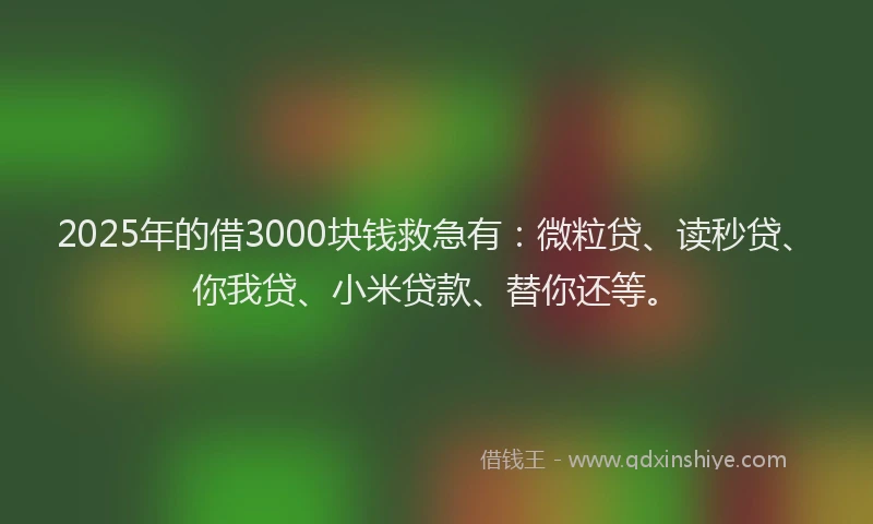 2025年的借3000块钱救急有：微粒贷、读秒贷、你我贷、小米贷款、替你还等。