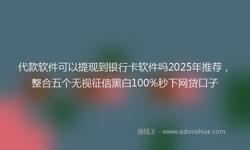 代款软件可以提现到银行卡软件吗2025年推荐，整合五个无视征信黑白100%秒下网贷口子