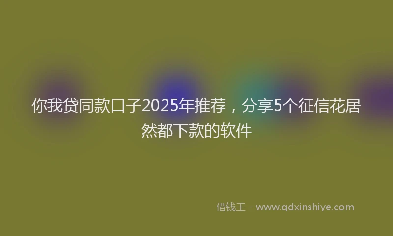 你我贷同款口子2025年推荐，分享5个征信花居然都下款的软件