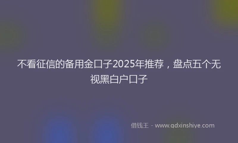 不看征信的备用金口子2025年推荐，盘点五个无视黑白户口子