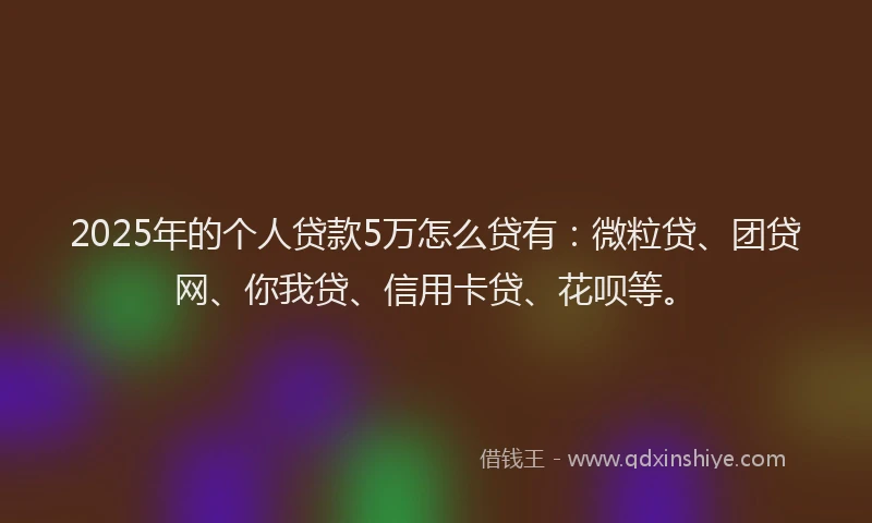 2025年的个人贷款5万怎么贷有：微粒贷、团贷网、你我贷、信用卡贷、花呗等。