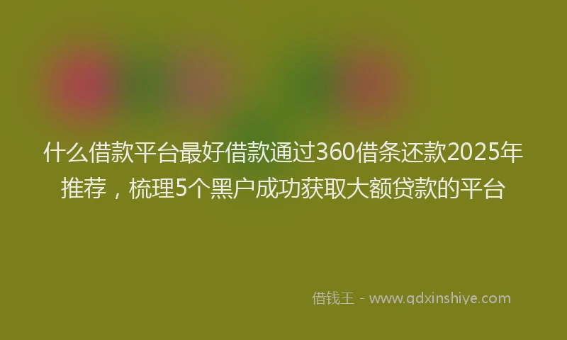 什么借款平台最好借款通过360借条还款2025年推荐，梳理5个黑户成功获取大额贷款的平台