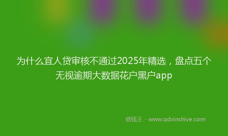 为什么宜人贷审核不通过2025年精选，盘点五个无视逾期大数据花户黑户app