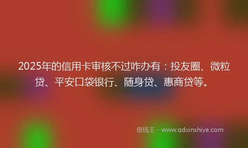 2025年的信用卡审核不过咋办有：投友圈、微粒贷、平安口袋银行、随身贷、惠商贷等。