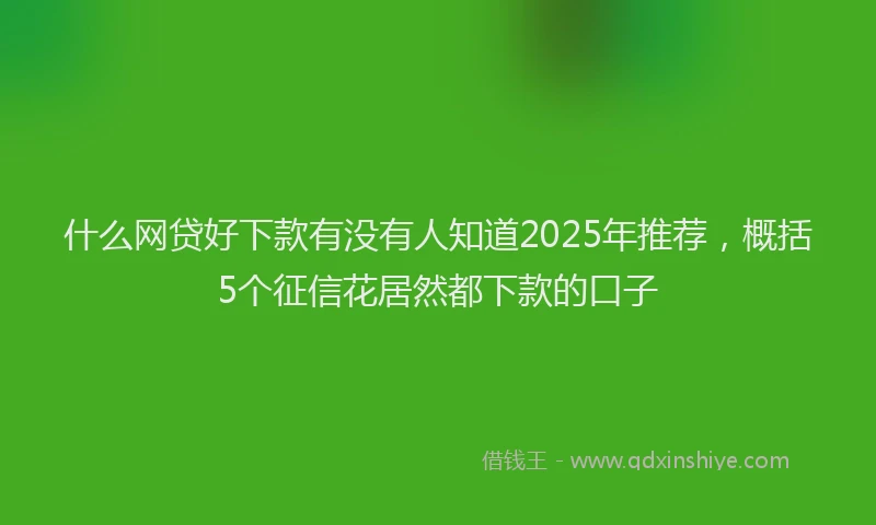 什么网贷好下款有没有人知道2025年推荐，概括5个征信花居然都下款的口子
