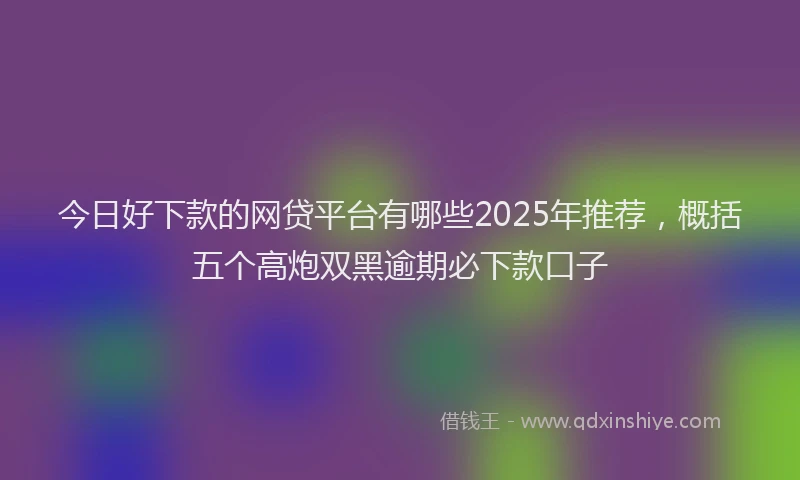 今日好下款的网贷平台有哪些2025年推荐，概括五个高炮双黑逾期必下款口子