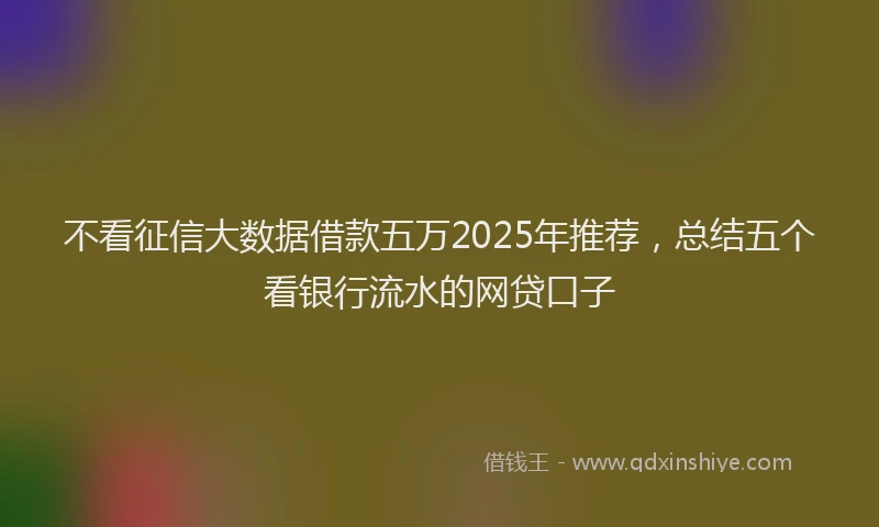 不看征信大数据借款五万2025年推荐，总结五个看银行流水的网贷口子