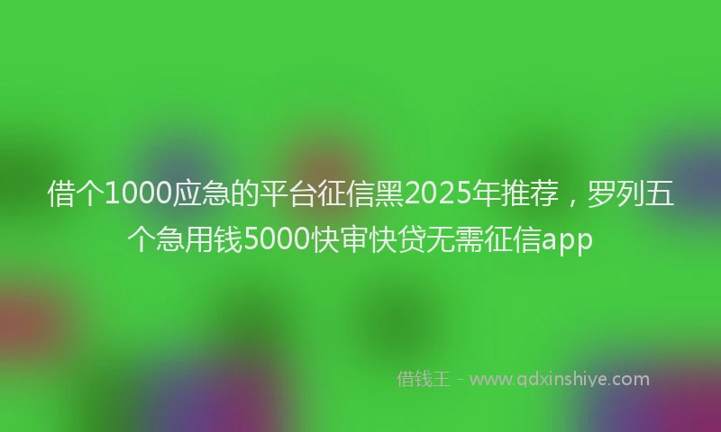 借个1000应急的平台征信黑2025年推荐，罗列五个急用钱5000快审快贷无需征信app