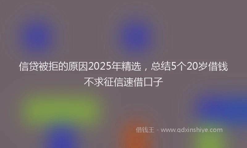 信贷被拒的原因2025年精选，总结5个20岁借钱不求征信速借口子