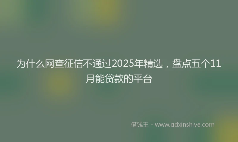 为什么网查征信不通过2025年精选，盘点五个11月能贷款的平台