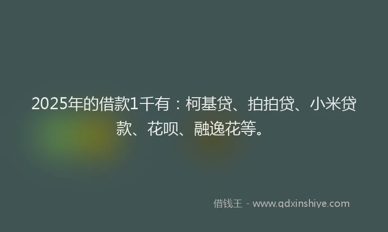 2025年的借款1千有：柯基贷、拍拍贷、小米贷款、花呗、融逸花等。