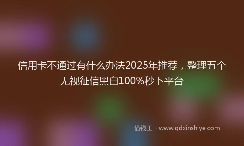 信用卡不通过有什么办法2025年推荐，整理五个无视征信黑白100%秒下平台