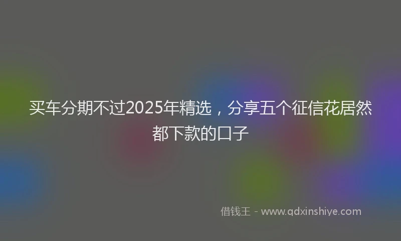 买车分期不过2025年精选，分享五个征信花居然都下款的口子