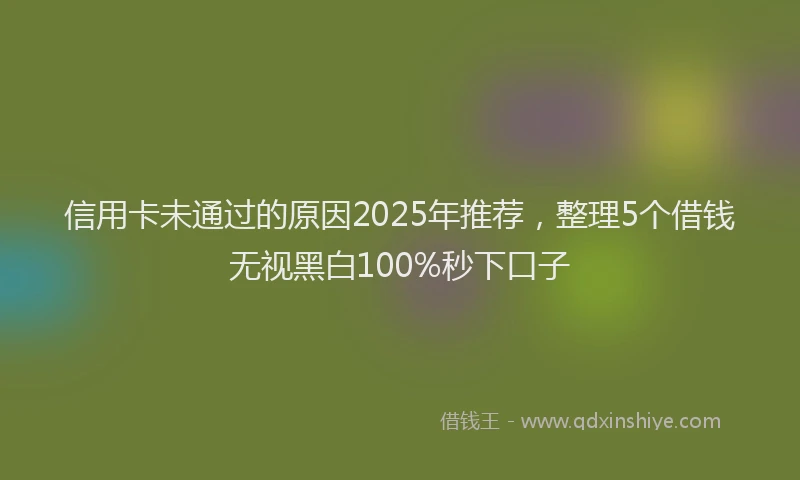 信用卡未通过的原因2025年推荐，整理5个借钱无视黑白100%秒下口子