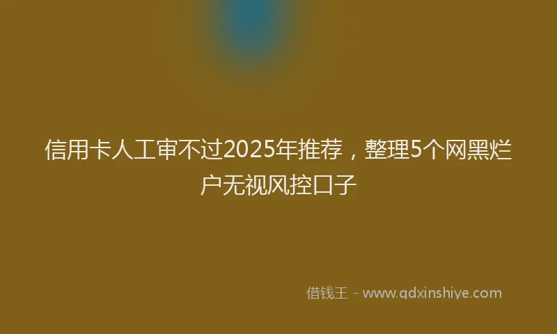 信用卡人工审不过2025年推荐，整理5个网黑烂户无视风控口子
