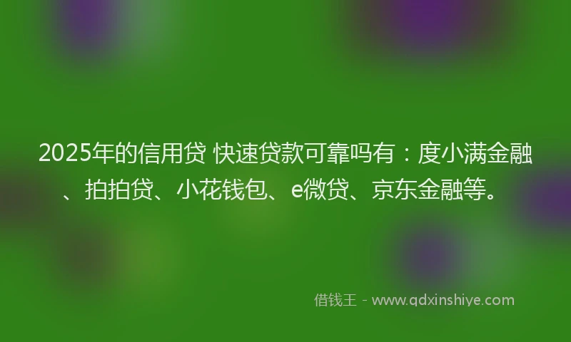 2025年的信用贷 快速贷款可靠吗有：度小满金融、拍拍贷、小花钱包、e微贷、京东金融等。