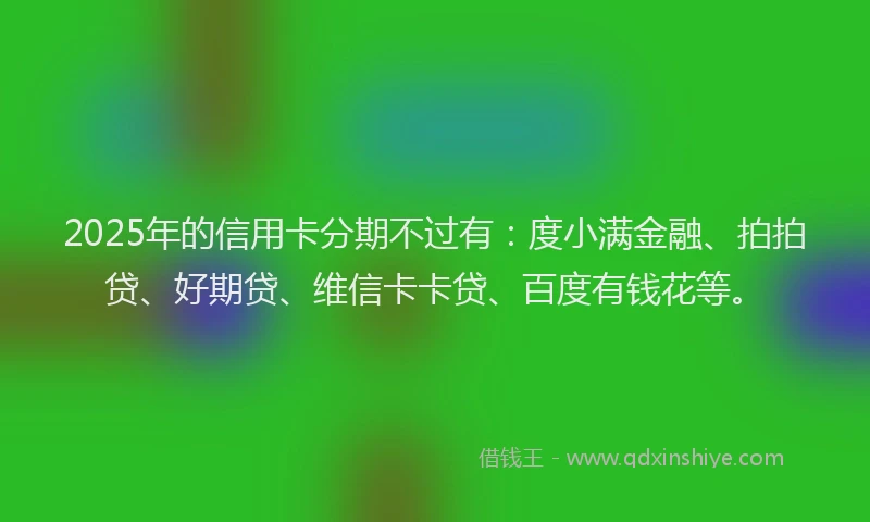 2025年的信用卡分期不过有：度小满金融、拍拍贷、好期贷、维信卡卡贷、百度有钱花等。