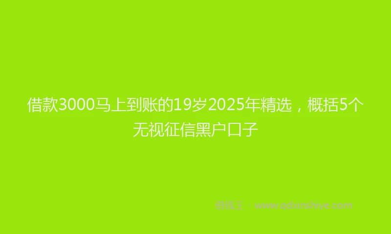 借款3000马上到账的19岁2025年精选，概括5个无视征信黑户口子