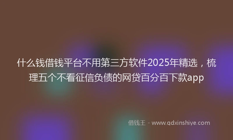 什么钱借钱平台不用第三方软件2025年精选，梳理五个不看征信负债的网贷百分百下款app