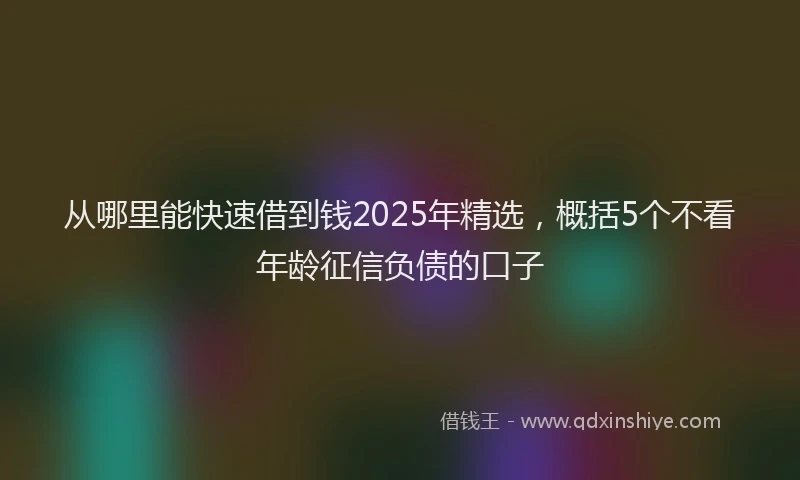 从哪里能快速借到钱2025年精选，概括5个不看年龄征信负债的口子