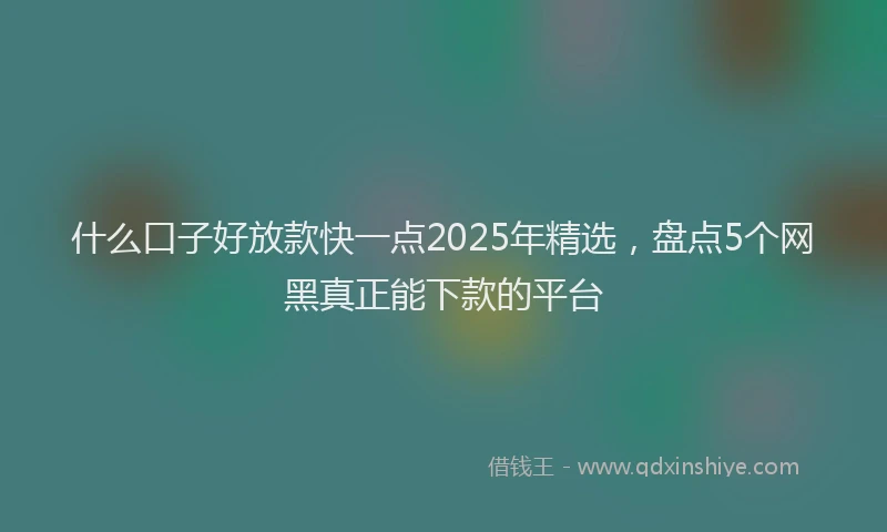 什么口子好放款快一点2025年精选，盘点5个网黑真正能下款的平台